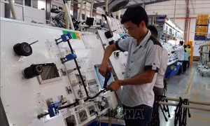 Các địa phương cần sớm xây dựng cơ sở dữ liệu về thị trường lao động