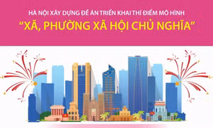 Xây dựng Đề án triển khai thí điểm mô hình 'xã, phường xã hội chủ nghĩa'