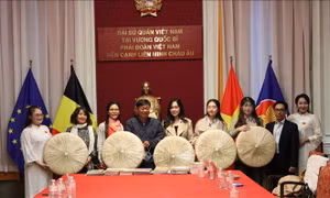 Lan tỏa giá trị văn hóa Việt, thắt chặt nghĩa tình với kiều bào tại Vương quốc Bỉ