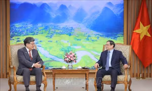 Thúc đẩy quan hệ Việt Nam - Nhật Bản phát triển thực chất, hiệu quả