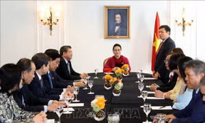 Chủ tịch Quốc hội Nguyễn Thị Kim Ngân gặp Ban Chấp hành Liên hiệp các Hội người Việt tại châu Âu