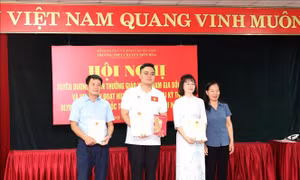  Chàng trai làm rạng danh quê hương Ninh Bình