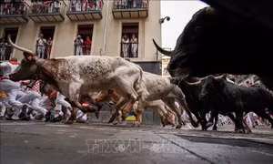 Khai màn mùa lễ hội đấu bò San Fermin