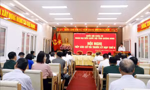 Cử tri đề nghị kiểm soát, xử lý nghiêm việc sản xuất, buôn bán hàng giả