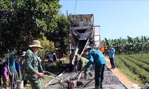 Ban hành Bộ tiêu chí xã nông thôn mới giai đoạn 2021-2025