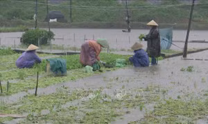Phú Yên: Chủ động ứng phó với mưa lũ và sạt lở đất