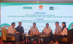 Tìm giải pháp tăng chuỗi giá trị rơm rạ