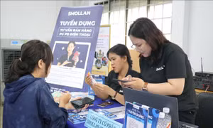 Đầu năm 2026, Thành phố Hồ Chí Minh cần hơn 55.600 lao động