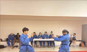 Lan tỏa văn hóa dân tộc qua võ cổ truyền Vovinam tại Pháp
