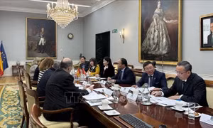 Thúc đẩy hợp tác giữa Kiểm toán nhà nước và Tòa Thẩm kế Tây Ban Nha