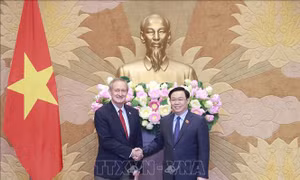 Chủ tịch Quốc hội Vương Đình Huệ tiếp Đoàn đại biểu Thượng Nghị viện Hoa Kỳ