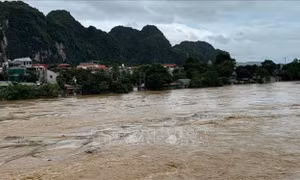 Ảnh hưởng bão số 5: Thanh Hoá khẩn trương xử lý sự cố vỡ đoạn kênh tiêu thoát lũ ngay trong đêm