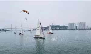 11 đội đua thuyền buồm vòng quanh thế giới Clipper Race xuất phát chặng đua mới