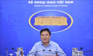 Thúc đẩy triển khai Ngoại giao số của Việt Nam