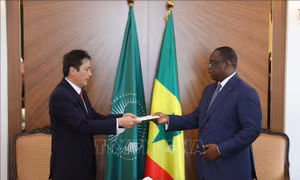 Thúc đẩy hợp tác toàn diện Việt Nam - Senegal