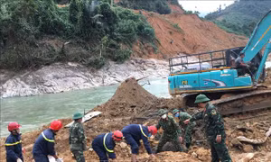 Đưa chó nghiệp vụ vào hỗ trợ tìm kiếm nạn nhân mất tích tại Rào Trăng 3