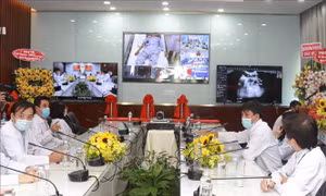 Bệnh viện Chợ Rẫy triển khai 30 'tổng đài đặc biệt' tư vấn khám bệnh online