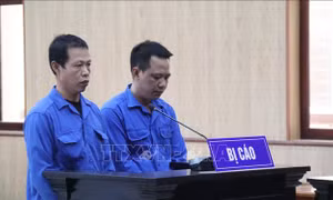 Phạt tù hai thuyền trưởng tổ chức xuất cảnh trái phép