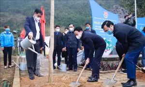 Yên Bái khởi động Tháng Thanh niên năm 2022