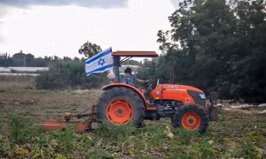 Israel sẽ tuyển 70.000 lao động nông nghiệp nước ngoài trong năm 2025