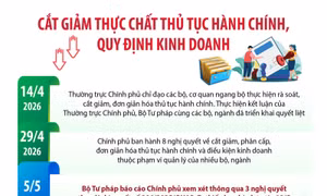 Cắt giảm thực chất thủ tục hành chính, quy định kinh doanh
