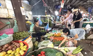 Nắng nóng diện rộng, giá thực phẩm tại Hà Nội có xu hướng tăng nhẹ