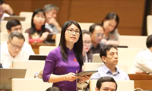 Chẩn đoán 'căn bệnh' sợ trách nhiệm và khơi thông các nguồn lực phát triển