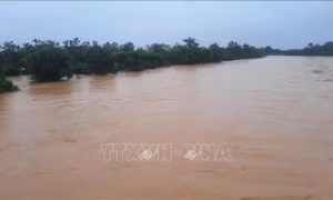 Người nuôi trồng thủy sản ở Vĩnh Sơn bị thiệt hại nặng do lũ lớn