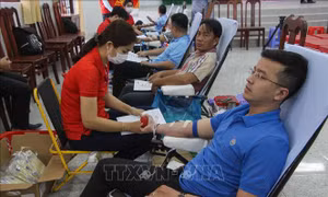 Động viên các tầng lớp nhân dân tham gia hiến máu tình nguyện dịp Tết