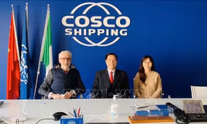 Đại sứ quán Việt Nam tại Italy hỗ trợ giải quyết vụ 100 container hạt điều có nguy cơ bị lừa đảo