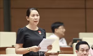 Tăng cường giám sát việc giải quyết thực chất, triệt để các kiến nghị của cử tri