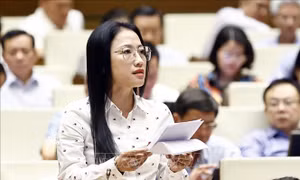 Đề nghị quy định rõ về trách nhiệm của cá nhân và tập thể trong thực thi công vụ
