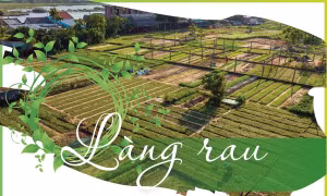 Làng rau Trà Quế, Hội An - 'Làng du lịch tốt nhất thế giới' năm 2024