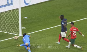 WORLD CUP 2022: Randal Kolo Muani và cú chạm bóng 'chớp nhoáng' thành bàn