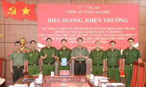 Khen thưởng lực lượng phá chuyên án chế tạo, mua bán vũ khí trái phép liên tỉnh