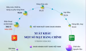 Thương mại song phương Việt Nam - Saudi Arabia