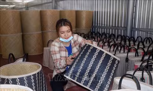 Tăng chất lượng, đa dạng các sản phẩm OCOP