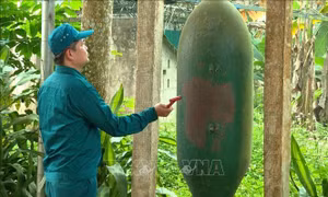 Tiếng kẻng giữ bình yên ở vùng cao Thượng Bằng La