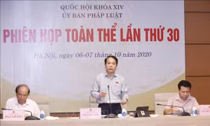 Phiên họp toàn thể lần thứ 30 Ủy ban Pháp luật của Quốc hội