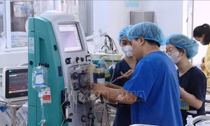 Bộ Y tế triển khai kế hoạch thực hiện Nghị định về xử phạt vi phạm y tế