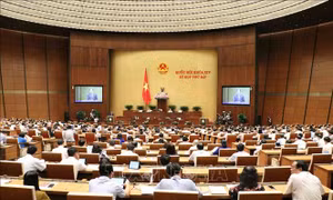 Kỳ họp thứ 7, Quốc hội khóa XIV: Cho ý kiến dự án Luật Phòng, chống tác hại của rượu, bia