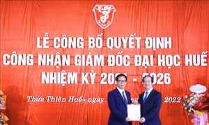 Phó Giáo sư, Tiến sỹ Lê Anh Phương giữ chức Giám đốc Đại học Huế
