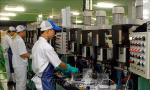 Giới phân tích: Việt Nam có thể vươn lên thành một nước kinh tế phát triển