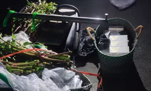 Ngụy trang là người chở rau để vận chuyển thuốc lá lậu