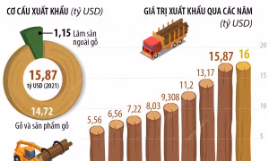 Năm 2022, lâm sản phấn đấu đạt giá trị xuất khẩu 16 tỷ USD