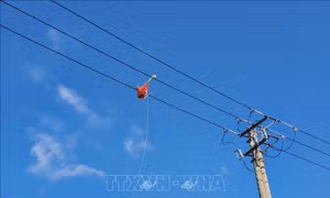 Liên tiếp xảy ra chập, cháy nổ điện nguy hiểm vì thả diều gần đường điện cao áp