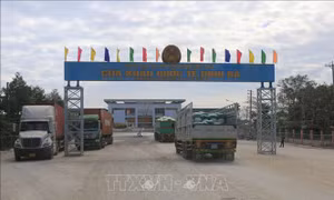 Xác định phạm vi cửa khẩu quốc tế Dinh Bà và cửa khẩu quốc tế Thường Phước
