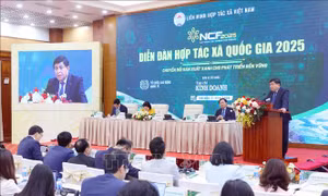 Tổ chức kinh tế tập thể cần tăng cường đầu tư vào chuyển đổi xanh, công nghệ xanh