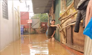 Nước sông Hồng ngừng dâng cao, khu dân cư ven sông vẫn ngập sâu