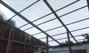 Bình Thuận khẩn trương kiểm tra, khắc phục thiệt hại do mưa gió, lốc xoáy